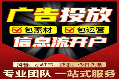 SEM服务公司成功案例解读
